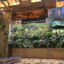 Singapur Ankunftshalle Airport