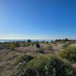 ... alles voll Austernbänke 😯