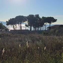 Alles voller Austerbänke 😯😯😯