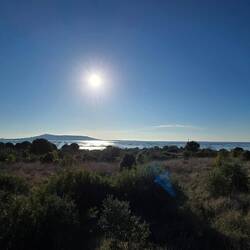 ... ein Träumchen 🌞