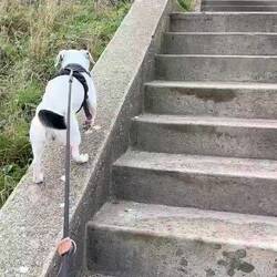 Treppen sind doof...