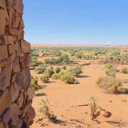 View over the palm groves. The whole town is in music