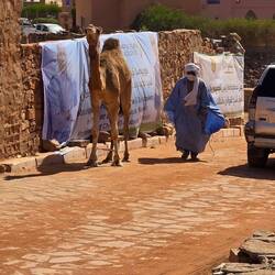 Walking his camel into town