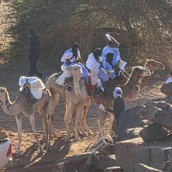 Camel riders lined up