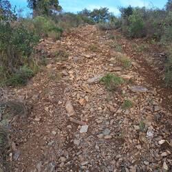 Und da hinauf ging's weiter🤔