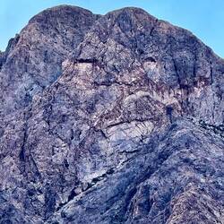 Wer sieht den Löwen?