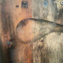 Stattdessen wohnten riesige Spinnen drin😱