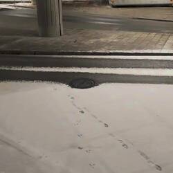 Selbst die Bahnhofsratte hatte Spaß