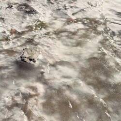 Sieht sensationell aus 😍