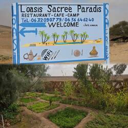 Unten ein kleiner Kräutergarten