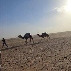 ...die laufen augenscheinlich bergab...