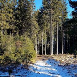 Weiter geht's hinein in einen herrlichen Tag...