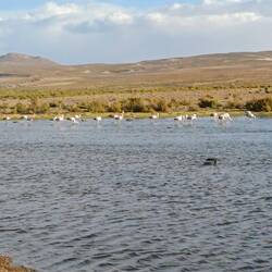 Am Abend zurück auf Los