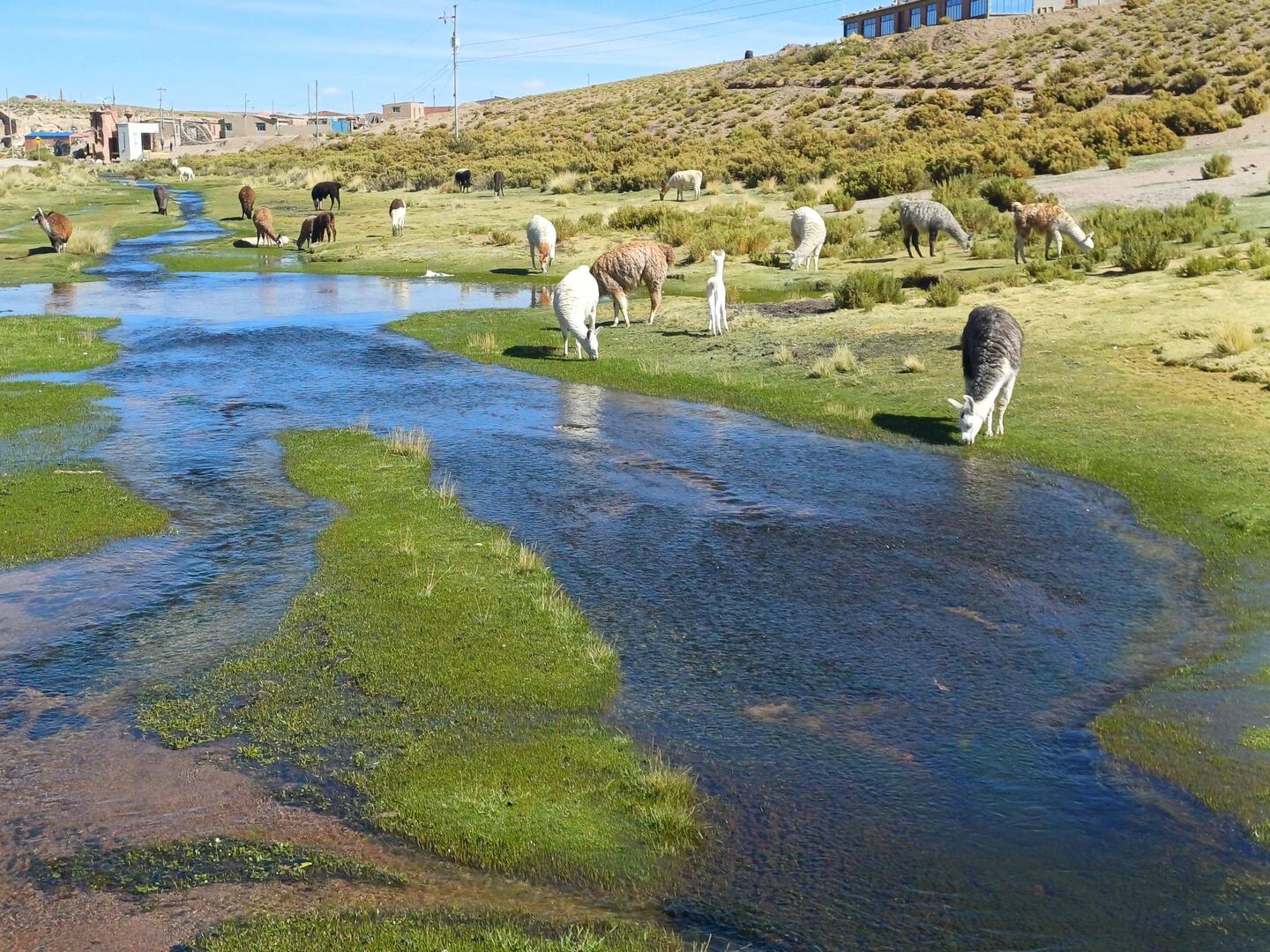 Am Morgen in Villa Mar