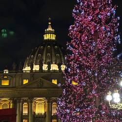 Petersdom im weihnachtlichen Glanz. Der Baum ist 25m hoch!