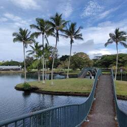 im Hilo Bayfront Park