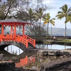 im japanischen Garten