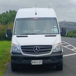 Une petite mouette a squatté le van