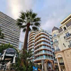 Hochhäusern im Stadtteil Monte Carlo