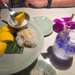 So pretty, mango sticky rice, yum!