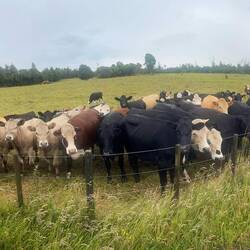 Sie wollten sich noch verabschieden