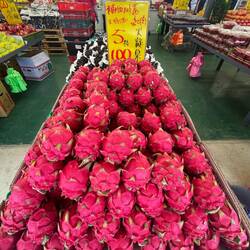 Die Drachenfrüchte wie gemalt