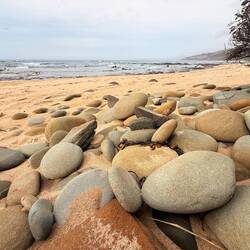 Standspaziergang in der Früh 🐚🌊
