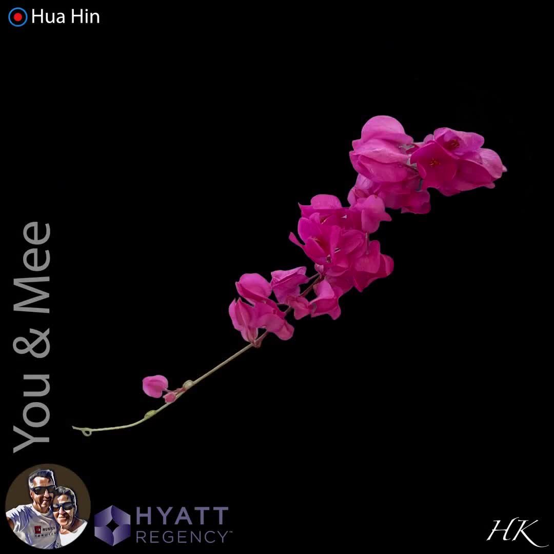 Mal nix tun 😎⛱️