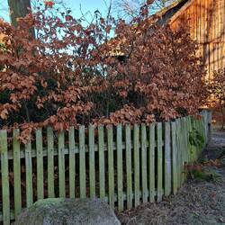 ...hier wollen wir ein Steinzeitgrab bestaunen....