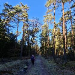 Die neue Wegführung vom D 4 ist sehr gut gelungen.