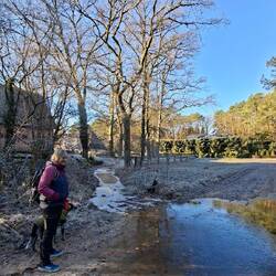 Da will der Frodo nicht rüber, wir auch nicht.