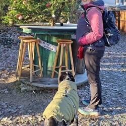 ....um über einen Stand für betreutes Trinken zu stolpern!🤣