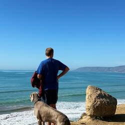 Der (alte) Mann und der Weimaraner