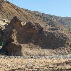 Erkennt ihr ein Kamel?