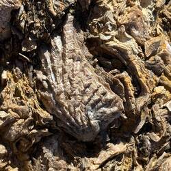 War hier vor vielen vielen Jahren