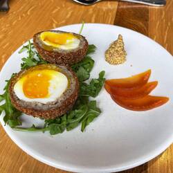 Scotch eggs