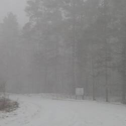 Weiterfahrt im Schneesturm