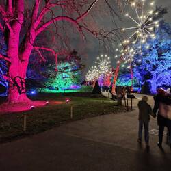 Christmas at Kew