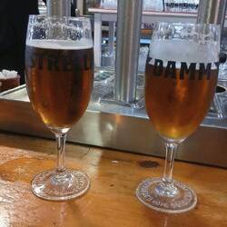 Bier in der Barca Kneipe in Calella