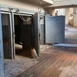 Des Stieres letzter Weg