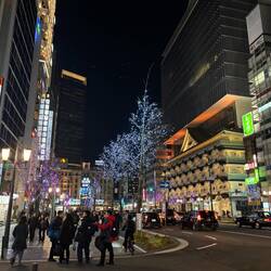 Winter Illumination