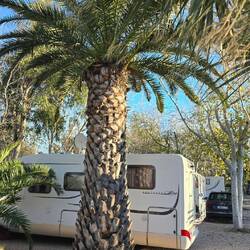 ... 🌴🌴🌴🌴🌴🌴