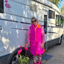 Flamingos 🦩🦩 kommt raus