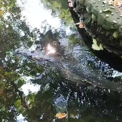 ... oder gleiten an dir vorbei 🫣