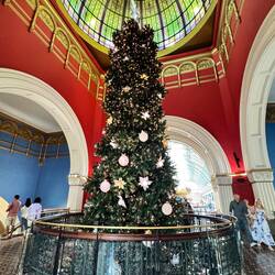 Weihnachtsbaum im Queen Victoria Building