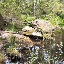 ...war sehr malerisch, wild exotisch 🦜🐼🐨🦘