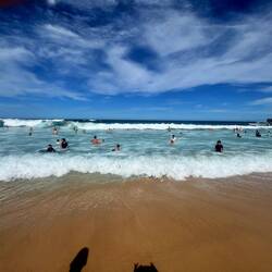 Vor dem Hai 🦈😅