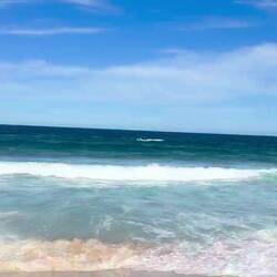 Haikontrolle 🦈 😅 bevor der Strand wieder freigegeben wird