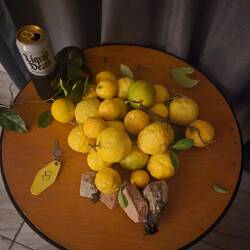 Found a lemon tree right beside the hotel picked a bunch of them.