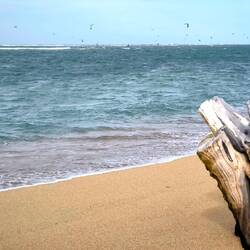Man beachte die vielen Kitesurfer.